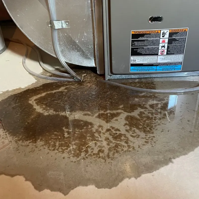 Pipe Burst and Leak Restoration in Lawrence County, TN