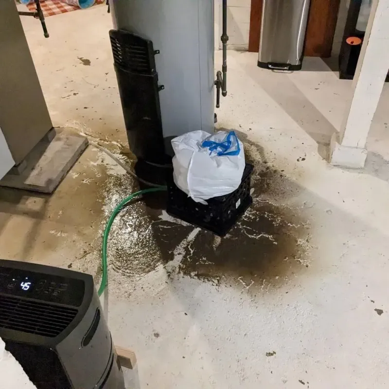 Sewage Backup Cleanup Service in Lawrence County, TN